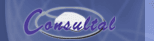 Consultal